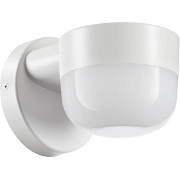 Светильник фасадный Novotech STREET 358450 12Вт IP65 LED белый