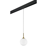 Трековый светильник Lightstar Globo PRO813022 40Вт E14 белый для однофазного трека