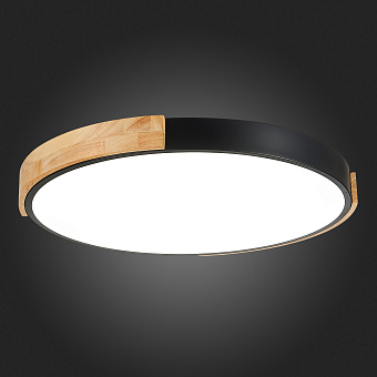 Светильник потолочный Evoluce DELIA SLE201342-01 40Вт LED