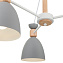 Светильник потолочный Freya Delia FR5033CL-05W 60Вт E27