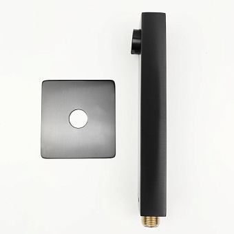 Излив Paini 21PZ430PL
