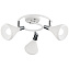 Спот Arte Lamp CICLONE A9155PL-3WH 40Вт 3 лампы E14