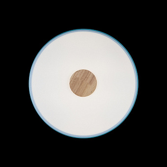 Светильник потолочный Loft It Axel 10003/24 Blue 24Вт LED