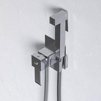 Гигиенический душ RGW Shower Panels 511408207-01 SP-207 хром