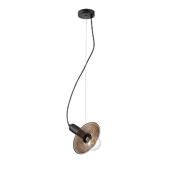Светильник подвесной Vele Luce Gustoso VL5892P11 60Вт E27
