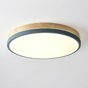 Светильник потолочный ImperiumLOFT Disc 189910-26 60Вт LED