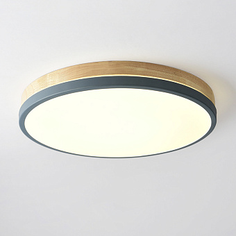 Светильник потолочный ImperiumLOFT Disc 189896-26 24Вт LED