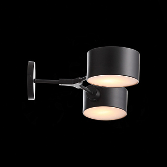 Светильник настенный Evoluce GIMENTO SLE183401-02 60Вт E14