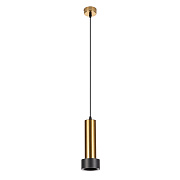 Светильник подвесной Arte Lamp RAN A3147SP-1PB 50Вт GU10
