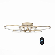 Люстра потолочная ST Luce TWIDDLE DIMMER SL867.202.06 85Вт 1 лампочек LED
