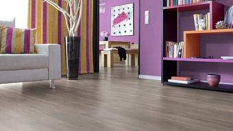 Ламинат KRONOTEX Exquisit Plus Дуб Эльба серебряный D6013 1380х244х8мм 32 класс 2,694кв.м