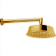 Верхний душ Cisal Cherie DS01359024 золото