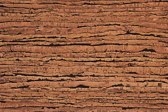 Пробковый пол CORKSTYLE NATURAL CORK-LOCK 915х305х10,5мм Tigre TIGRE 1,953кв.м