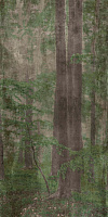 Матовый керамогранит ABK Wide and Style PF60007330 D+ Woods C 320х160см 5,12кв.м.