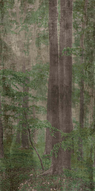Матовый керамогранит ABK Wide and Style PF60007330 D+ Woods C 320х160см 5,12кв.м.