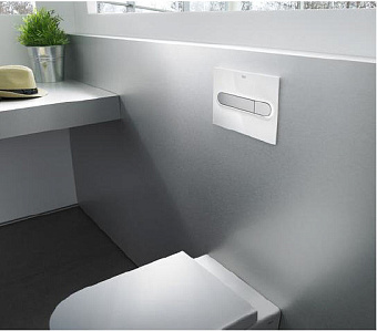 Панель смыва ROCA Duplo 7.8900.9.500.5 белый/хром