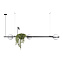 Светильник подвесной Loft It Jardin 10121/C 75Вт LED