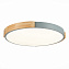 Светильник потолочный Evoluce DELIA SLE201372-01 40Вт LED