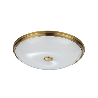 Светильник настенно-потолочный Odeon WALLI 4956/5 200Вт E14