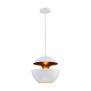 Светильник подвесной Loft It Apple LOFT2213-A 40Вт E27