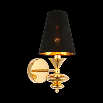 Светильник настенный Evoluce RIONFO SL1137.201.01 40Вт E14