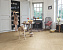 Ламинат Quick-Step Castle Ultra Дуб Капучино CAU4160 1200х396х12мм 33 класс 1,426кв.м