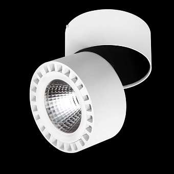 Светильник потолочный Lightstar Forte 381363 35Вт LED