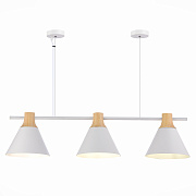 Светильник подвесной Evoluce MODICA SLE125103-03 120Вт E14