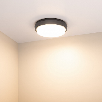 Светильник фасадный Arlight LGD-Giro 029948 10Вт IP54 LED чёрный