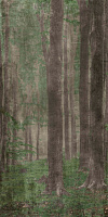 Матовый керамогранит ABK Wide and Style PF60007328 D+ Woods A 320х160см 5,12кв.м.
