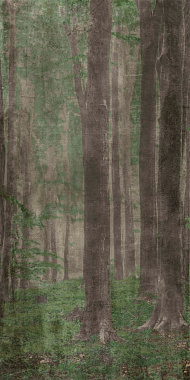 Матовый керамогранит ABK Wide and Style PF60007328 D+ Woods A 320х160см 5,12кв.м.