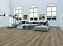 Виниловый ламинат Alpine Floor Дуб Эниф ЕСО 7-31 1880х229х8мм 43 класс 2,47кв.м