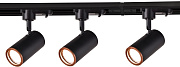 Трековый светильник Favourite Imago 4022-3U 30Вт GU10 LED белый для однофазного трека