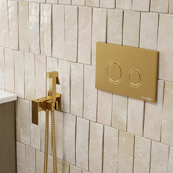 Гигиенический душ WASSERKRAFT Встраиваемая продукция A71838 золотой