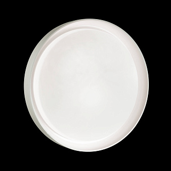 Светильник настенно-потолочный Sonex Bionic 3030/EL 72Вт LED