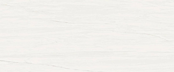 Настенная плитка Atlas Concord Италия MARVEL STONE A4S4 Bianco Dolomite 50х120см 1,8кв.м. глянцевая