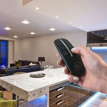 Пульт управления Elektrostandard a040988 Y8