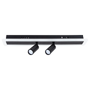 Спот Arte Lamp TOMMY A2607PL-22BK 22Вт 2 лампы LED