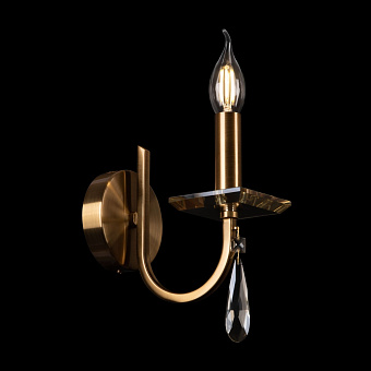 Светильник настенный Freya Forte FR1006WL-01G 40Вт E14