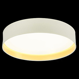 Торшер Evoluce BRESCIA SLE300552-01 50Вт LED
