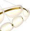 Люстра подвесная ST Luce ETOILE SL1304.203.56 56Вт 1 лампочек LED