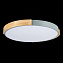 Светильник потолочный Evoluce DELIA SLE201372-01 40Вт LED