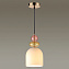 Светильник подвесной Lumion SUSPENTIONI 4589/1B 60Вт E27