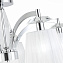 Люстра потолочная ST Luce BELLO SL1756.102.05 200Вт 5 лампочек E14