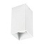 Светильник потолочный Lightstar RULLO 216586 50Вт GU10