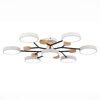Светильник потолочный Evoluce FAEMA SLE6006-502-07 84Вт LED