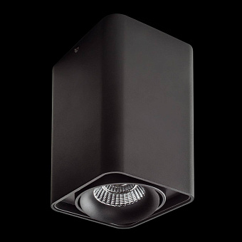 Светильник потолочный Lightstar Monocco 52337 10Вт LED