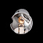 Светильник настенный Evoluce GENTORE SLE155101-01 60Вт E14
