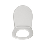 Сиденье для унитаза IDDIS 005PPS3i31 с микролифтом