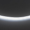 Светодиодная лента Lightstar 430204 9,6Вт/м 50000мм IP20 холодный белый свет